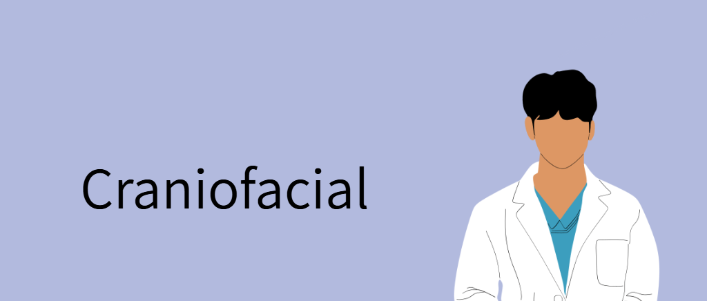 美容外科医 クラニオフェイシャル系