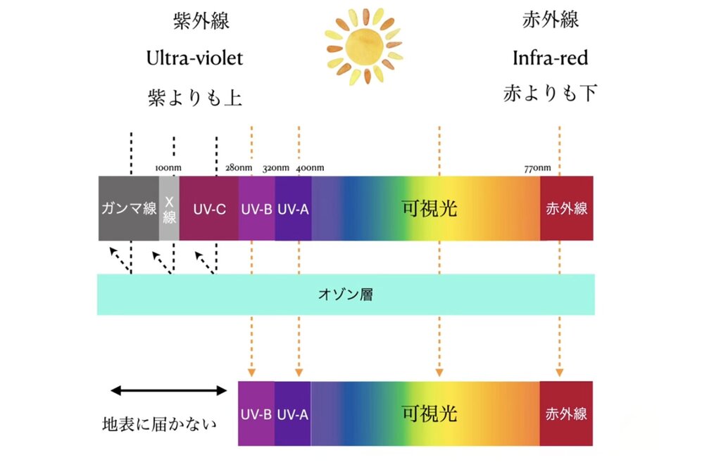紫外線　赤外線