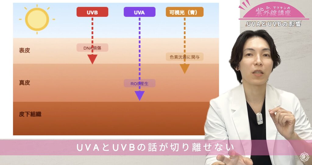 美容の鍵を握るUVA