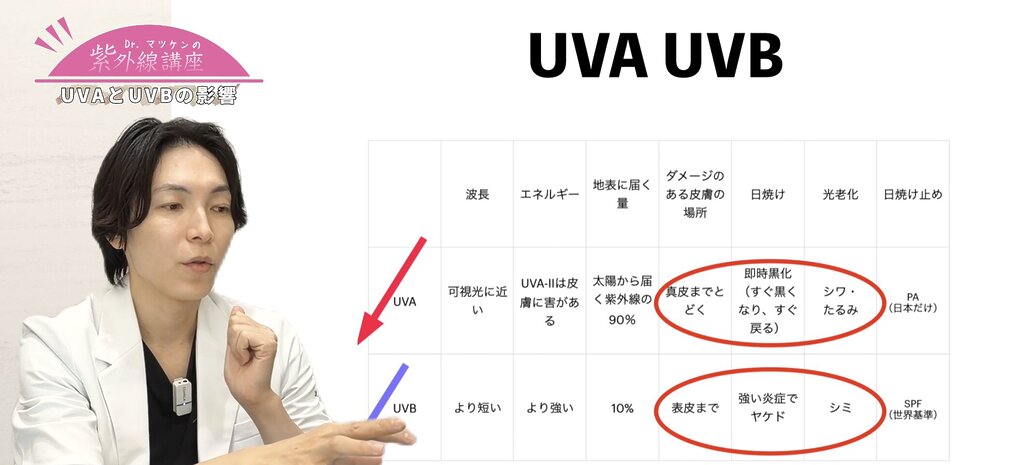 UVAとUVBの影響