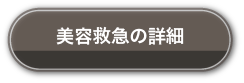 美容救急の詳細